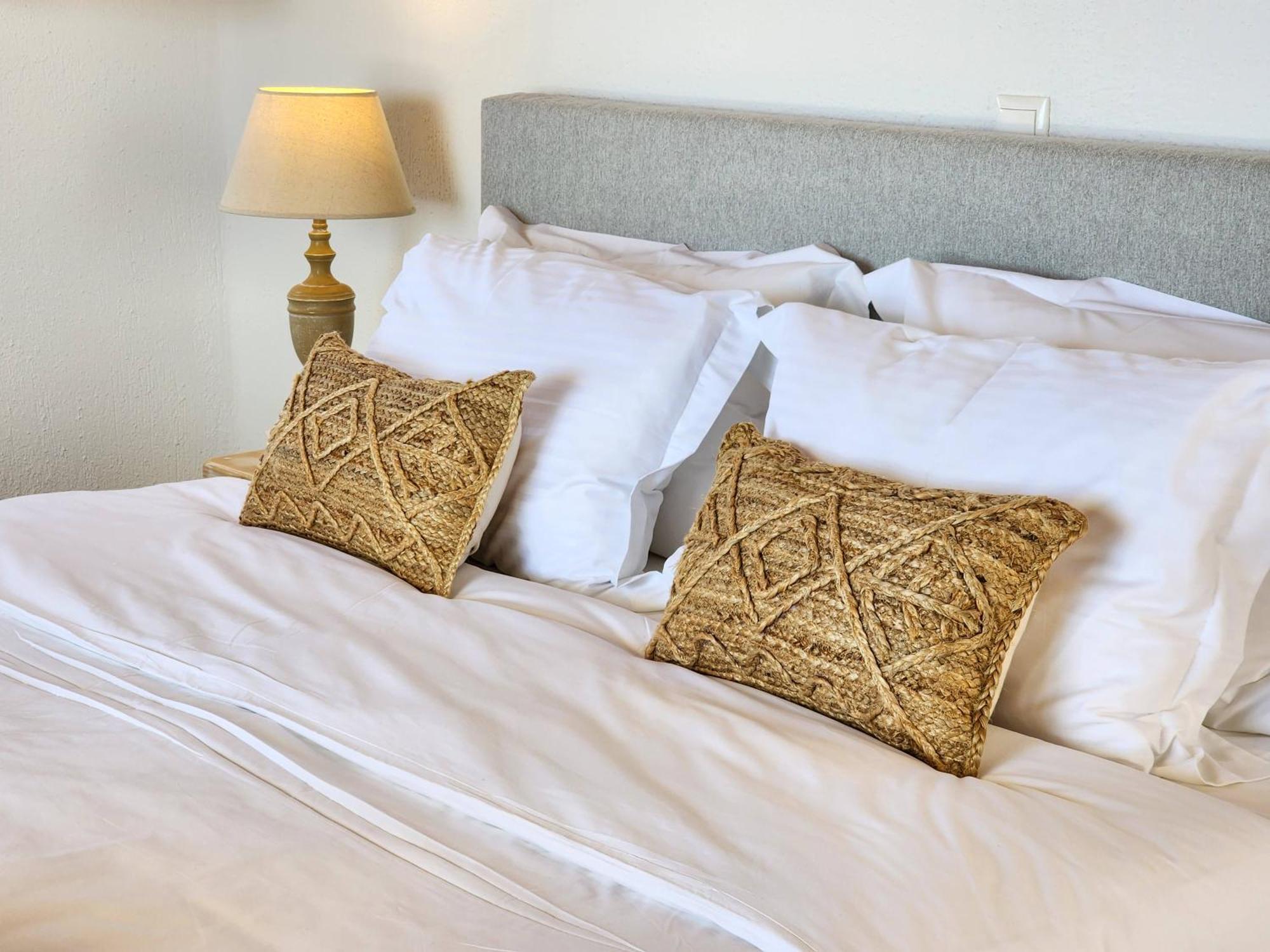 Anthemion Paros - Villas & Suites Agia Irini  المظهر الخارجي الصورة
